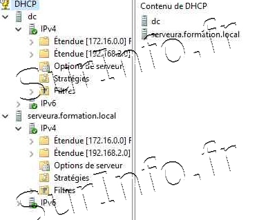 DHCP63